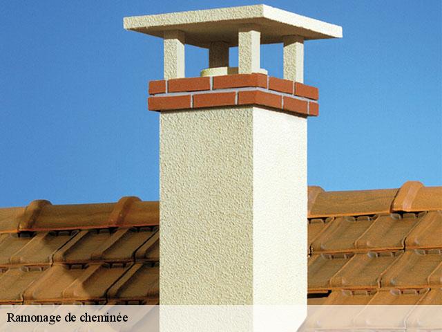 Ramonage de cheminée