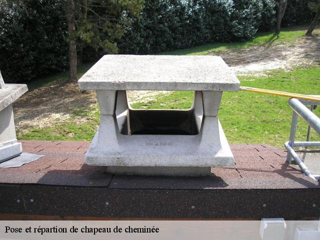 Pose de chapeau de cheminée  Rennes, Chantepie, Cesson-Sévigné