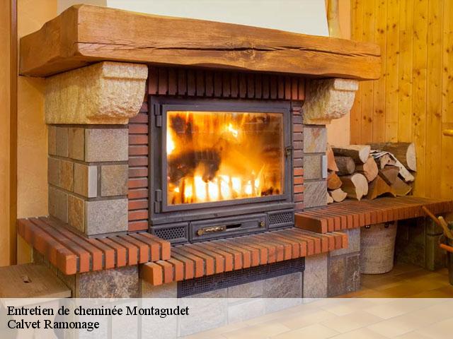 Entretien de cheminée montagudet-82110 Calvet Ramonage